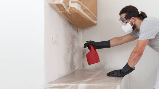 Professional Bathroom Mold Removal technician working in Danville, PA
